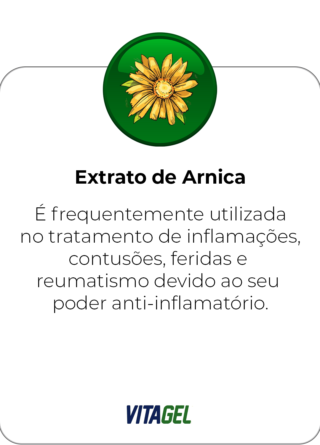 VITAGEL-EXTRATO-DE-ARNCA