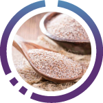 Psyllium